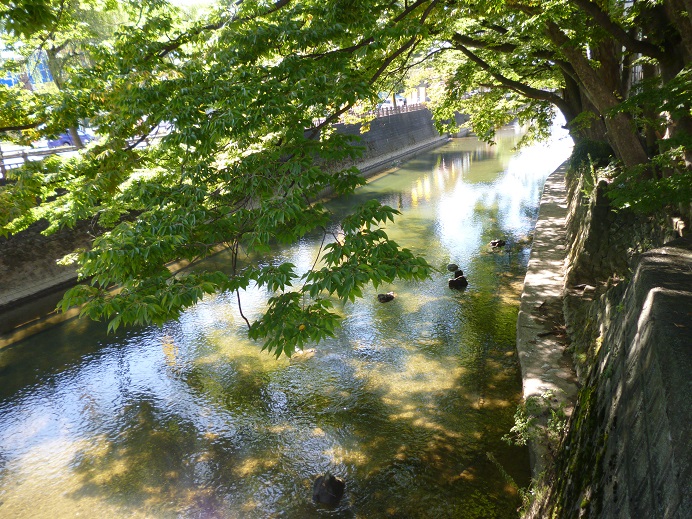 d0129083_1544525.jpg
