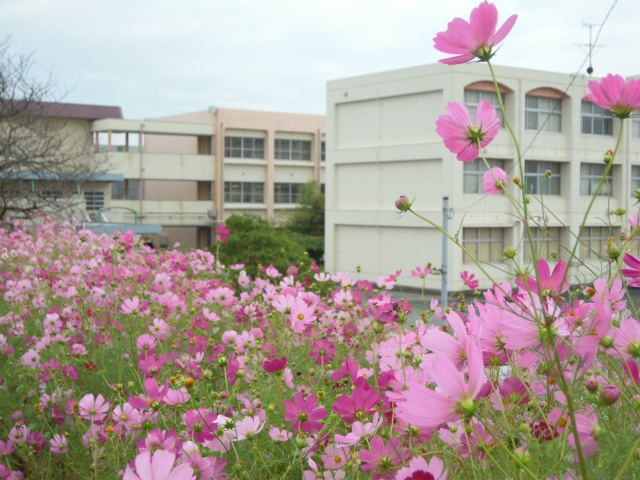 a0082884_19381872.jpg