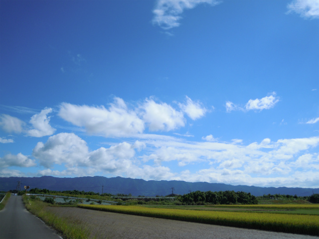 a0082884_19533984.jpg