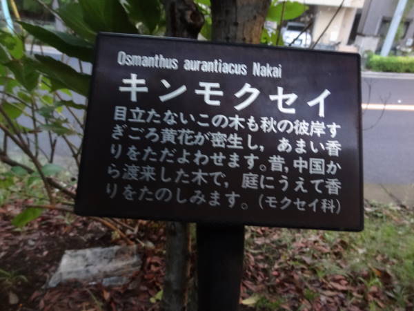 b0307186_8141446.jpg