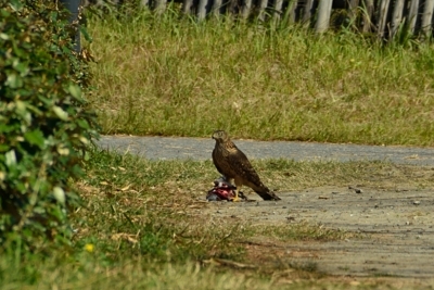 f0082592_22552664.jpg