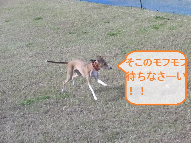 a0284997_2024250.jpg