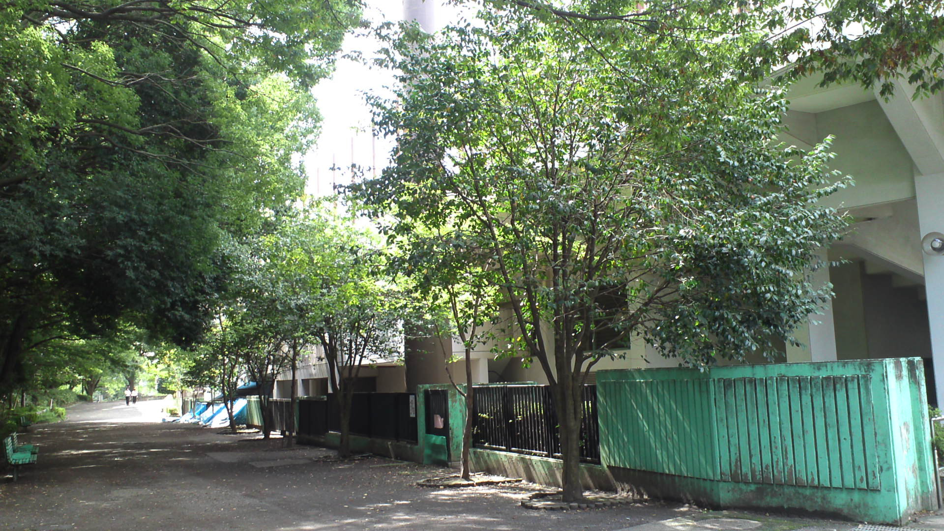 b0304598_1050290.jpg