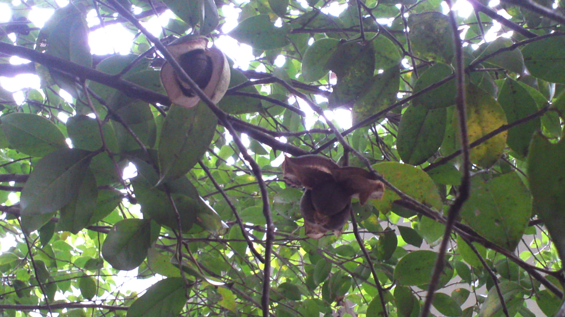 b0304598_1052565.jpg