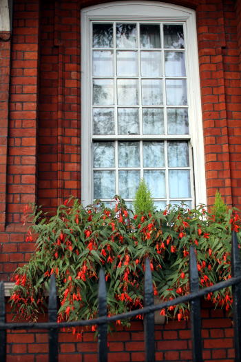 c0090198_34614.jpg