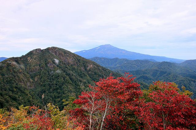 e0137200_2243359.jpg