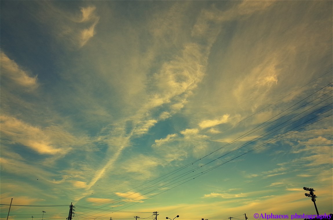 a0060403_20164285.jpg