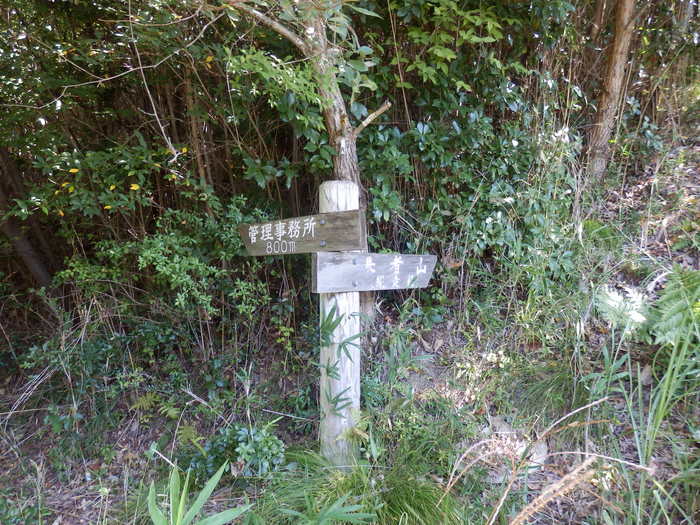 f0219710_1025525.jpg
