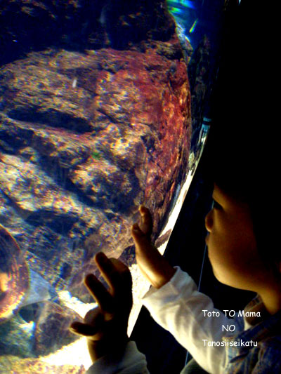 b0191213_14505590.jpg