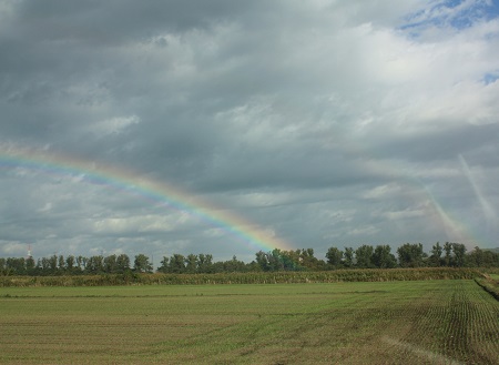 c0200413_10453575.jpg