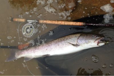 朱鞠内湖でイトウ釣り_a0086316_7294143.jpg