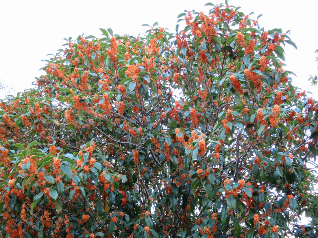 c0280416_23351628.jpg