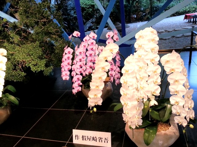 華道家 假屋崎省吾の世界 目黒雅叙園にて 珈琲はいかが
