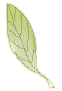 a0315420_2316144.gif