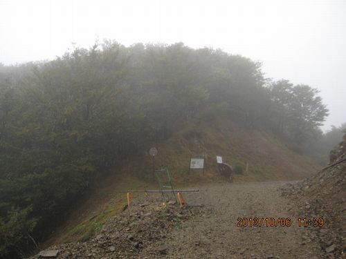 f0193521_20426.jpg