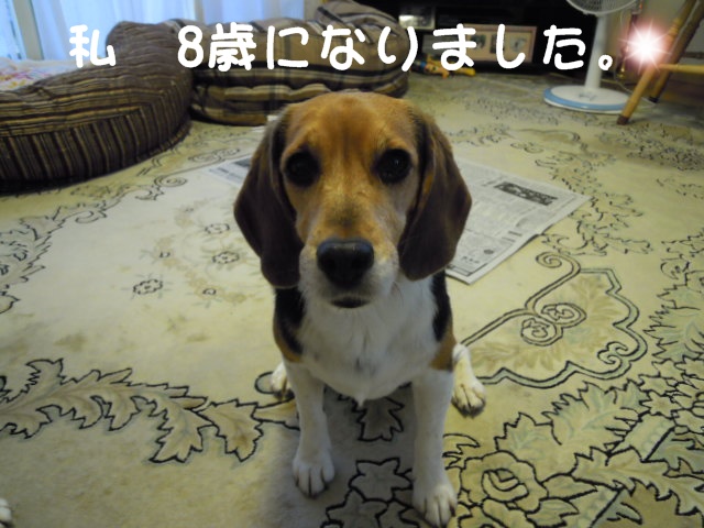 c0166622_8583936.jpg
