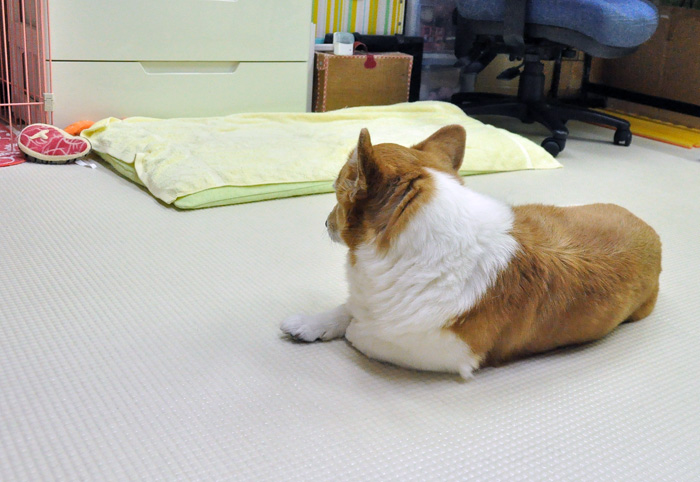 昨日より元気_d0102523_7222376.jpg