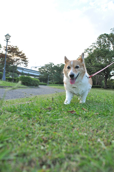 昨日より元気_d0102523_72325100.jpg