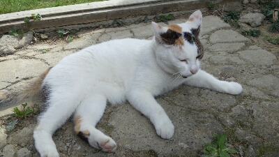 b0308627_20475417.jpg