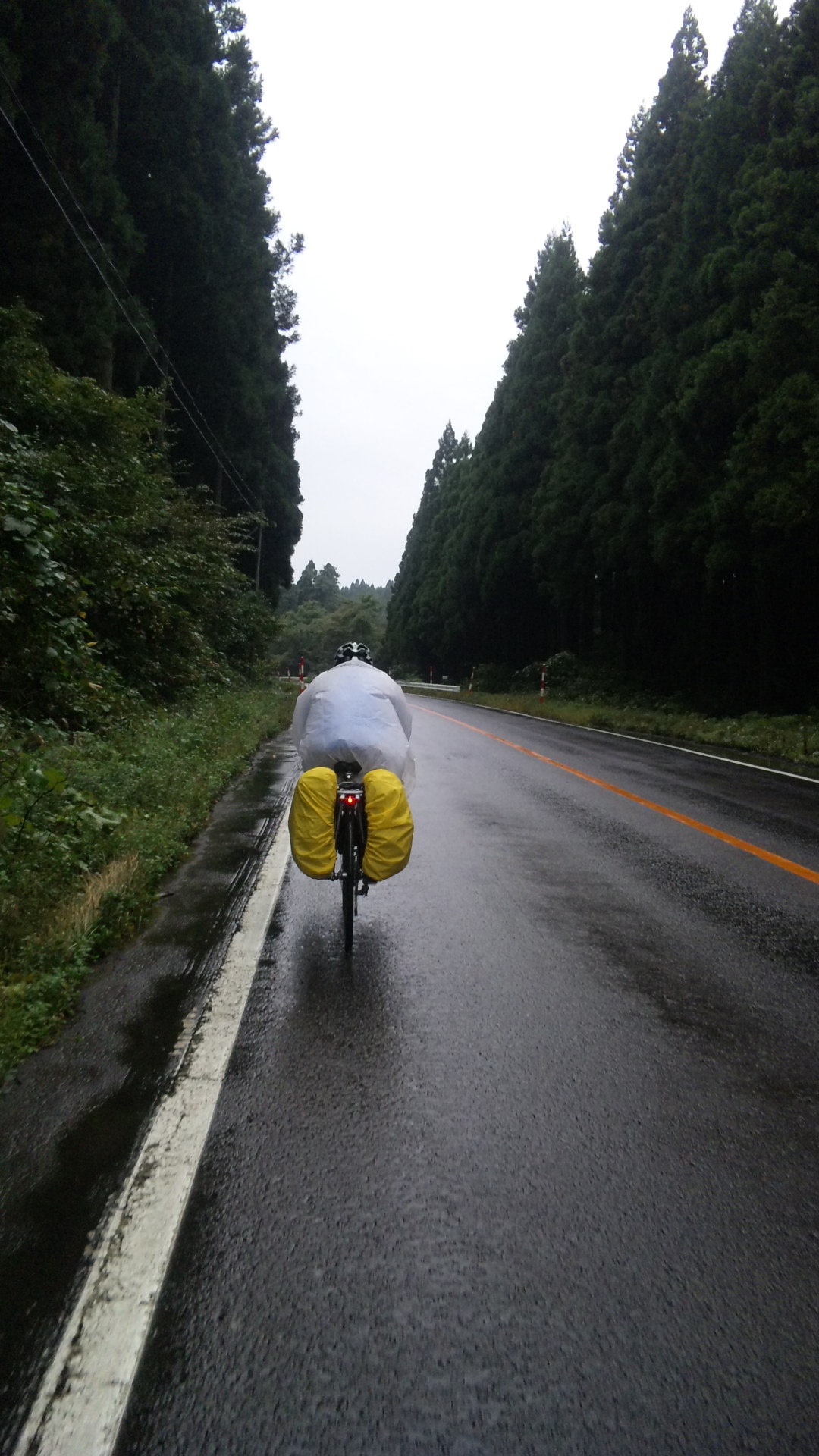 d0237428_22202471.jpg