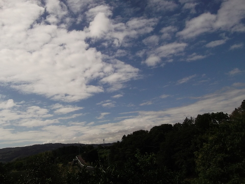 b0137932_20512789.jpg