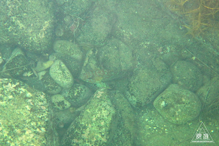 352 島根町 ~やっぱり島根の海もすごい~_c0211532_1711258.jpg