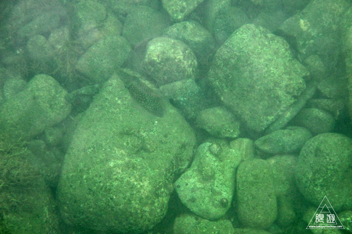 352 島根町 ~やっぱり島根の海もすごい~_c0211532_17321416.jpg