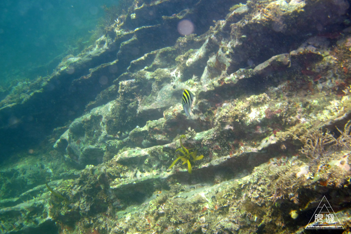 352 島根町 ~やっぱり島根の海もすごい~_c0211532_1772477.jpg