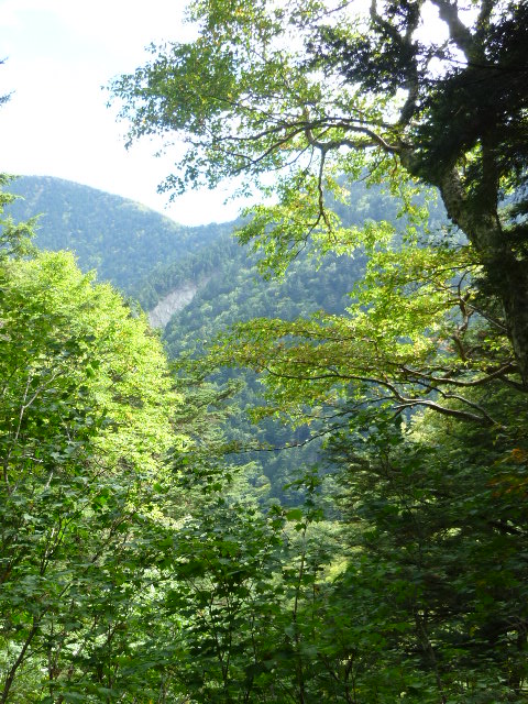 b0298935_21105142.jpg