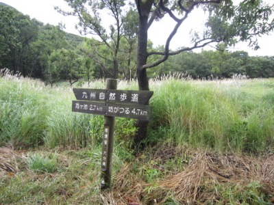 e0110940_2153353.jpg