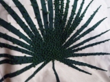 c0237143_17383356.jpg