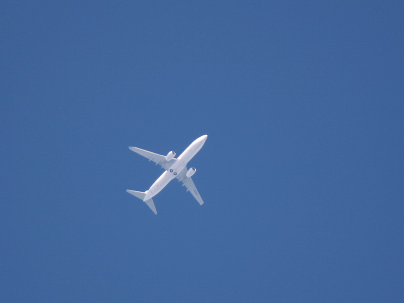 e0128144_4572084.jpg