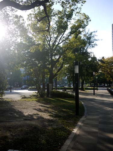 f0191444_1124555.jpg