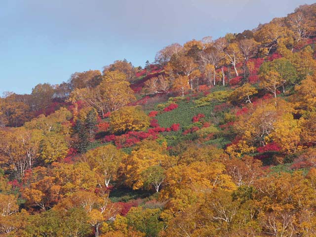 今年もいつもの紅葉めぐり_a0115745_22465053.jpg