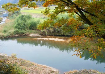 ＜2013年11月＞2012山陰山陽の旅⑤：「スサノオ・八岐大蛇伝説」の史蹟を訪ねて_c0119160_2121474.jpg