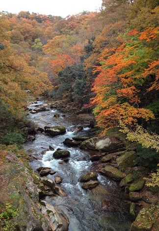 ＜2013年11月＞2012山陰山陽の旅⑤：「スサノオ・八岐大蛇伝説」の史蹟を訪ねて_c0119160_2153386.jpg