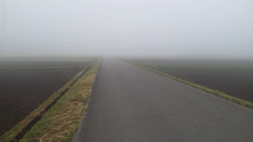 b0174462_14344853.gif