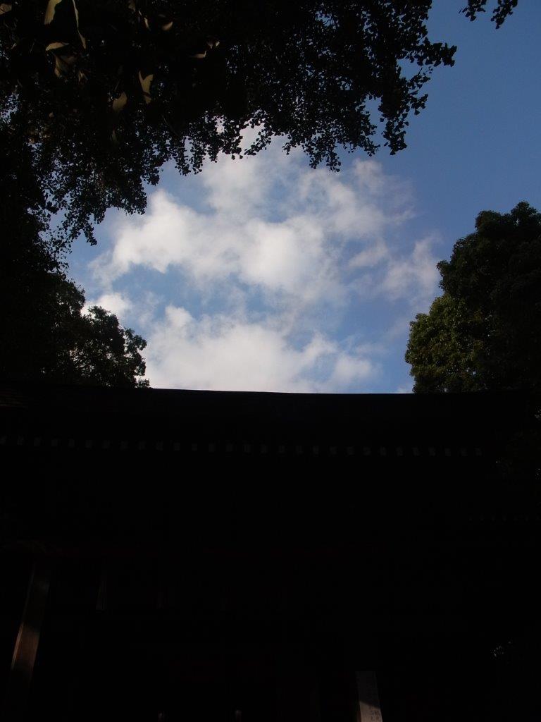 a0123465_205054.jpg