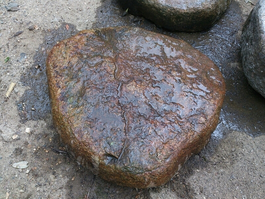 f0142070_10365125.jpg