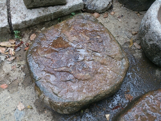 f0142070_10373349.jpg