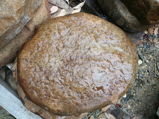 f0142070_1040952.jpg