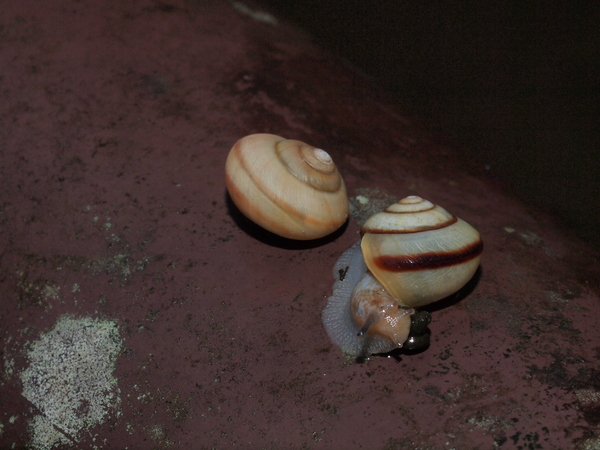 b0135573_17265515.jpg