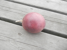 e0093679_528227.png