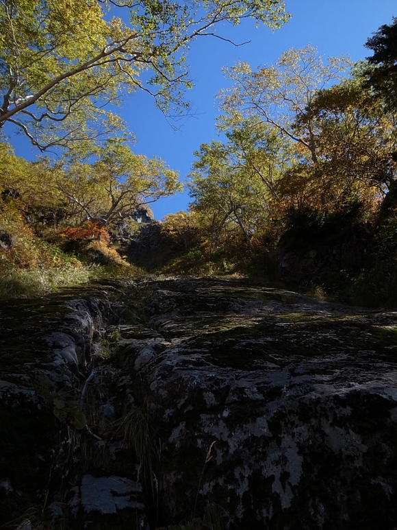 a0094280_13363487.jpg