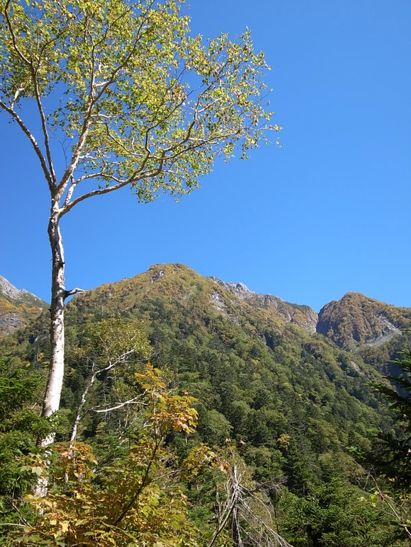 a0094280_13364085.jpg