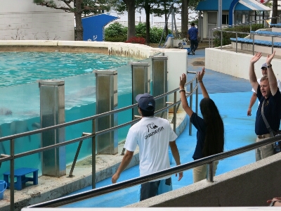 市長表敬訪問、中学校訪問からの水族館、そして座禅_f0205780_2254564.jpg