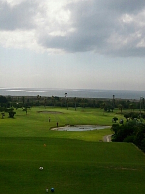 b0147481_1141111.jpg