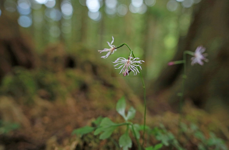 f0000789_948408.jpg