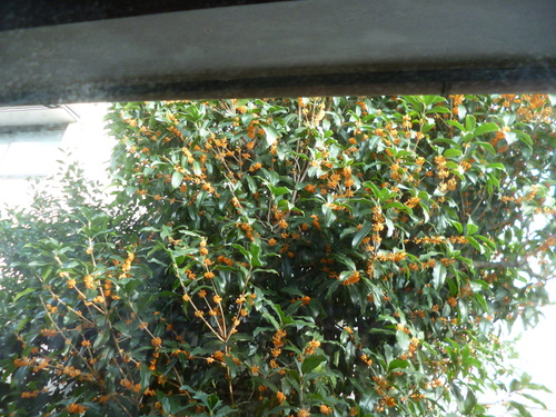 a0309391_1054490.jpg