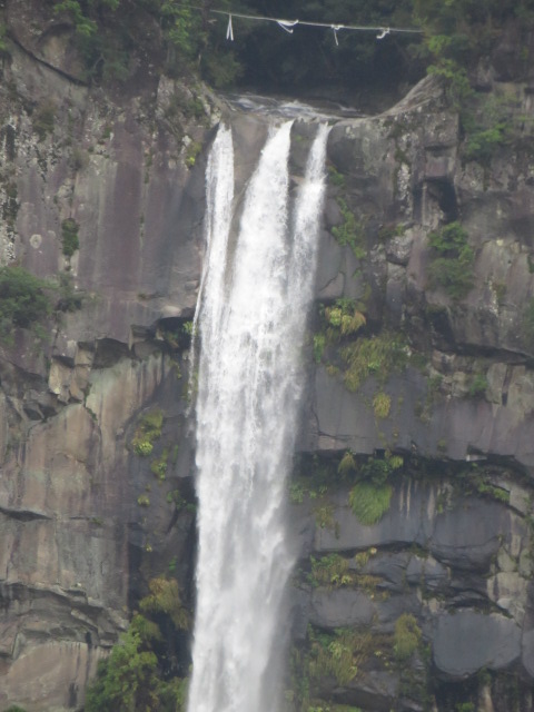 a0193698_19424541.jpg